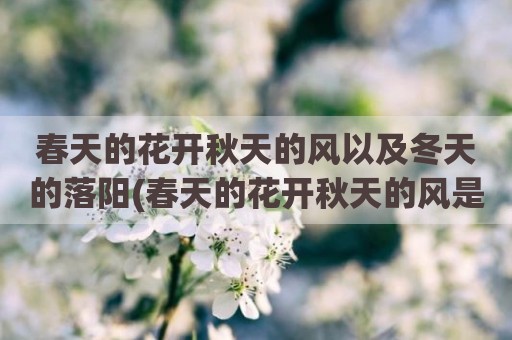 春天的花开秋天的风以及冬天的落阳(春天的花开秋天的风是什么歌)