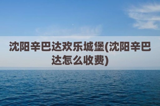沈阳辛巴达欢乐城堡(沈阳辛巴达怎么收费)