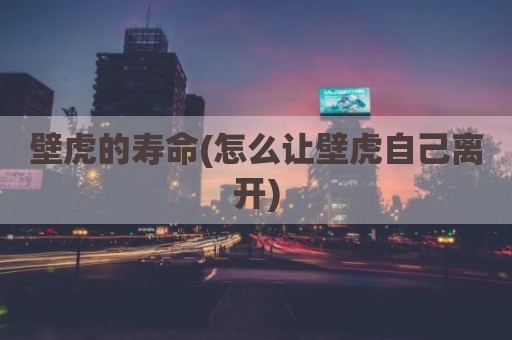 壁虎的寿命(怎么让壁虎自己离开)