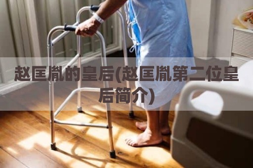 赵匡胤的皇后(赵匡胤第二位皇后简介)