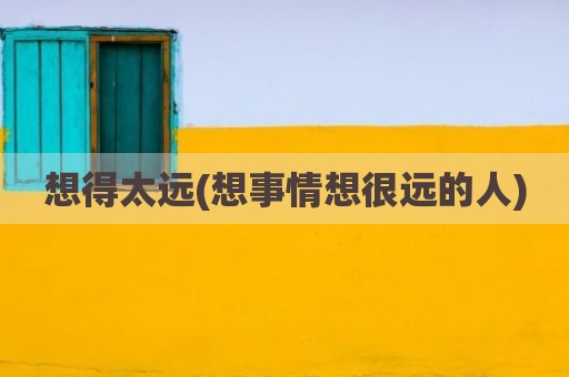 想得太远(想事情想很远的人)