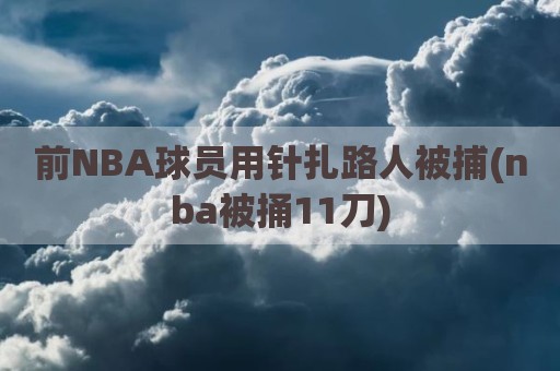 前NBA球员用针扎路人被捕(nba被捅11刀)