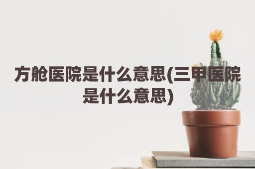 方舱医院是什么意思(三甲医院是什么意思)