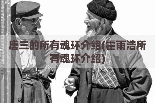 唐三的所有魂环介绍(霍雨浩所有魂环介绍)
