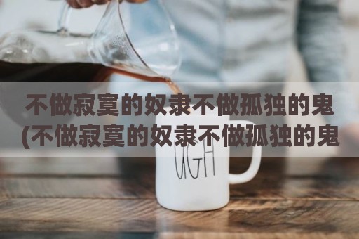 不做寂寞的奴隶不做孤独的鬼(不做寂寞的奴隶不做孤独的鬼歌名叫什么)