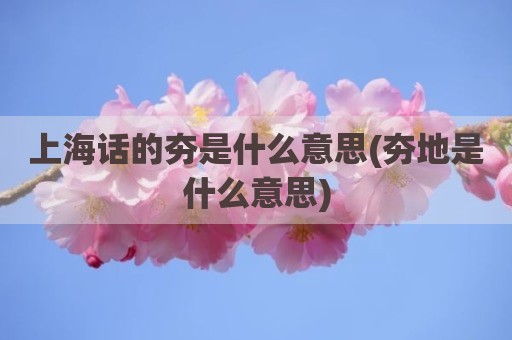 上海话的夯是什么意思(夯地是什么意思)