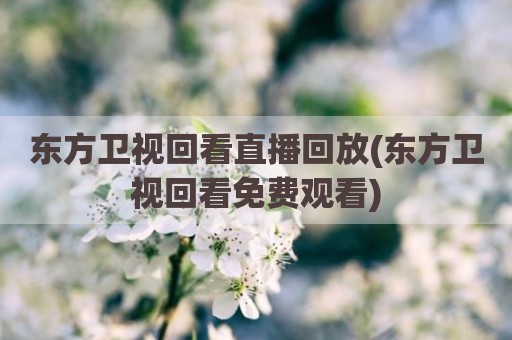 东方卫视回看直播回放(东方卫视回看免费观看)