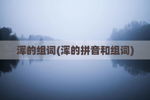 浑的组词(浑的拼音和组词)
