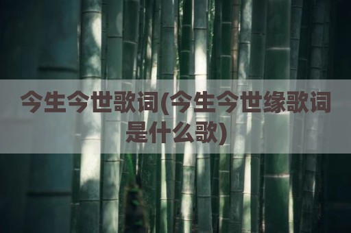 今生今世歌词(今生今世缘歌词是什么歌)