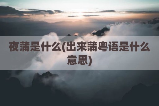 夜蒲是什么(出来蒲粤语是什么意思)
