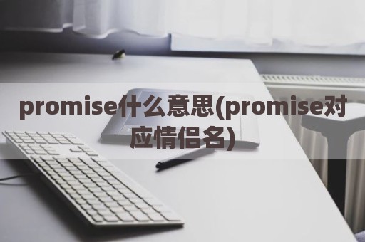 promise什么意思(promise对应情侣名)