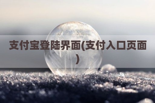 支付宝登陆界面(支付入口页面)