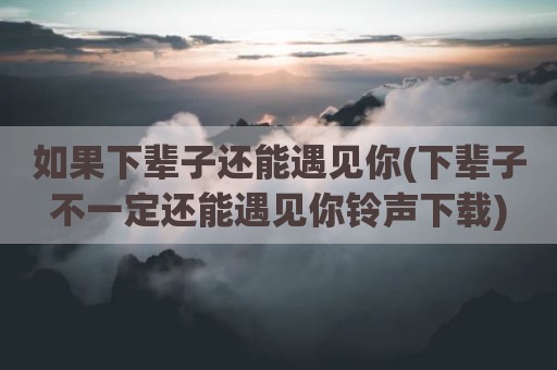 如果下辈子还能遇见你(下辈子不一定还能遇见你铃声下载)