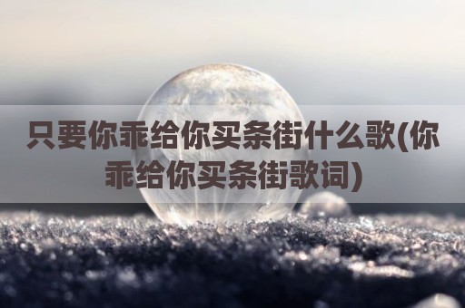 只要你乖给你买条街什么歌(你乖给你买条街歌词)