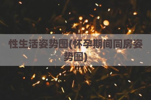性生活姿势图(怀孕期间同房姿势图)