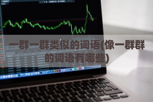 一群一群类似的词语(像一群群的词语有哪些)