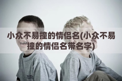 小众不易撞的情侣名(小众不易撞的情侣名带名字)