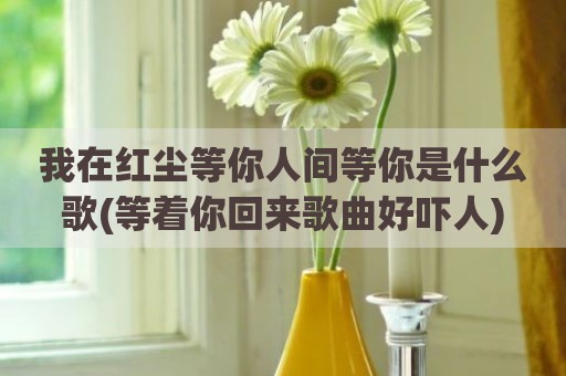 我在红尘等你人间等你是什么歌(等着你回来歌曲好吓人)