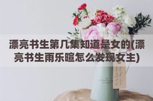 漂亮书生第几集知道是女的(漂亮书生雨乐暄怎么发现女主)