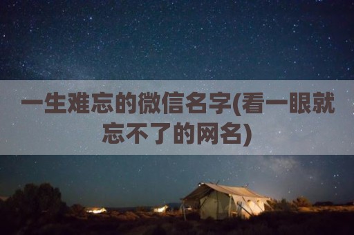 一生难忘的微信名字(看一眼就忘不了的网名)