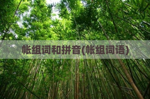 帐组词和拼音(帐组词语)