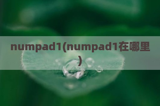 numpad1(numpad1在哪里)