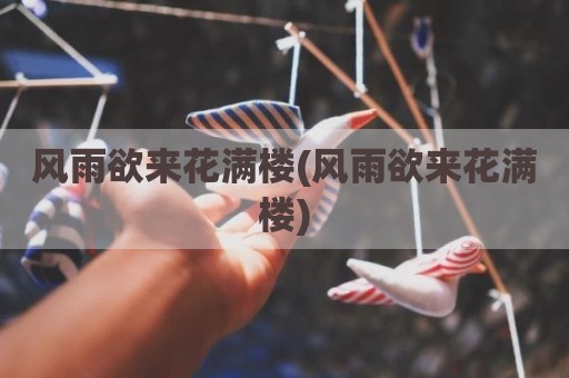 风雨欲来花满楼(风雨欲来花满楼)