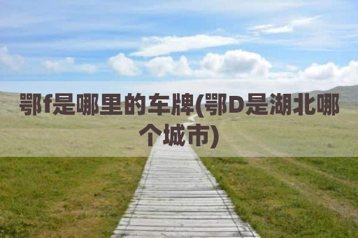 鄂f是哪里的车牌(鄂D是湖北哪个城市)