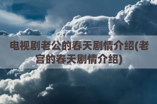 电视剧老公的春天剧情介绍(老宫的春天剧情介绍)