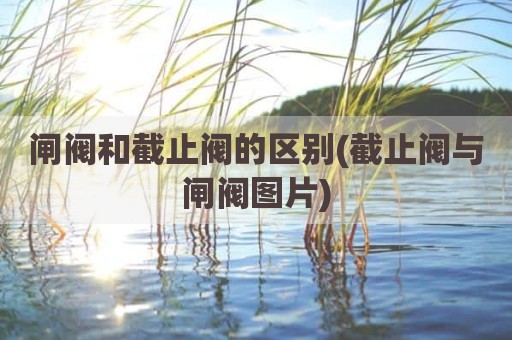 闸阀和截止阀的区别(截止阀与闸阀图片)