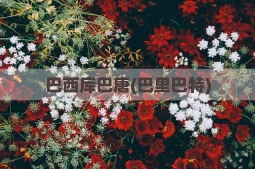 巴西库巴唐(巴里巴特)