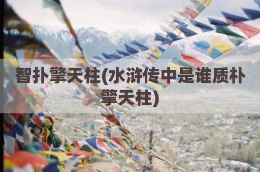 智扑擎天柱(水浒传中是谁质朴擎天柱)