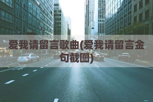 爱我请留言歌曲(爱我请留言金句截图)