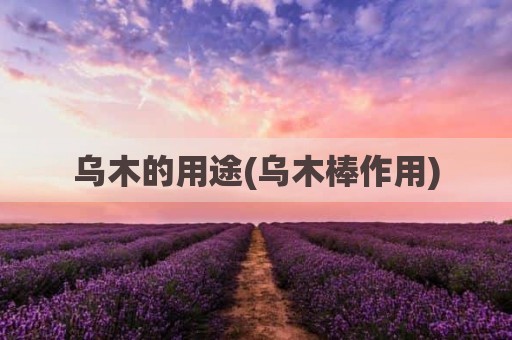 乌木的用途(乌木棒作用)