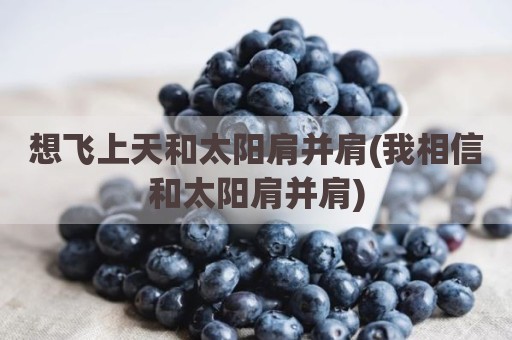 想飞上天和太阳肩并肩(我相信和太阳肩并肩)