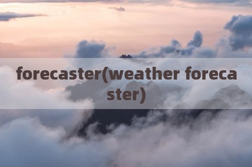 forecaster(weather forecaster)