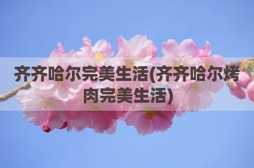 齐齐哈尔完美生活(齐齐哈尔烤肉完美生活)