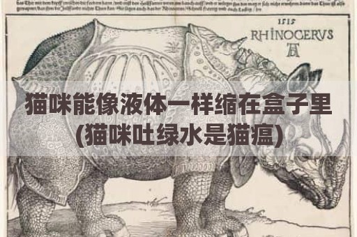 猫咪能像液体一样缩在盒子里(猫咪吐绿水是猫瘟)