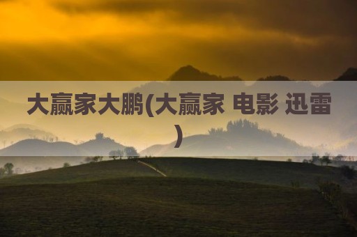大赢家大鹏(大赢家 电影 迅雷)
