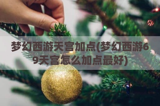 梦幻西游天宫加点(梦幻西游69天宫怎么加点最好)
