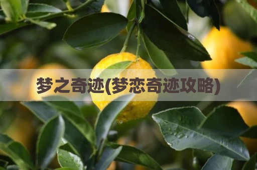 梦之奇迹(梦恋奇迹攻略)
