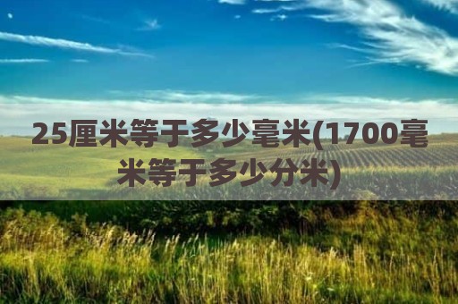 25厘米等于多少毫米(1700毫米等于多少分米)