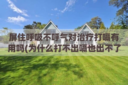 屏住呼吸不呼气对治疗打嗝有用吗(为什么打不出嗝也出不了气)