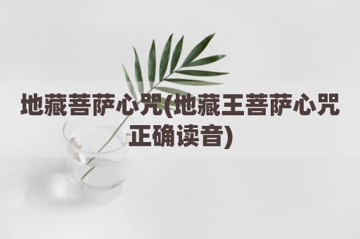 地藏菩萨心咒(地藏王菩萨心咒正确读音)