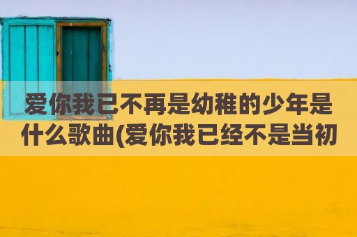爱你我已不再是幼稚的少年是什么歌曲(爱你我已经不是当初的少年)
