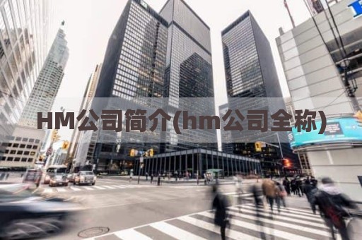 HM公司简介(hm公司全称)