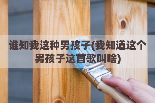 谁知我这种男孩子(我知道这个男孩子这首歌叫啥)