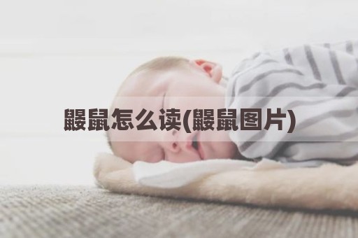 鼹鼠怎么读(鼹鼠图片)
