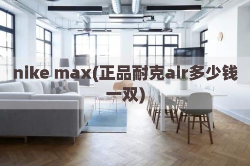 nike max(正品耐克air多少钱一双)