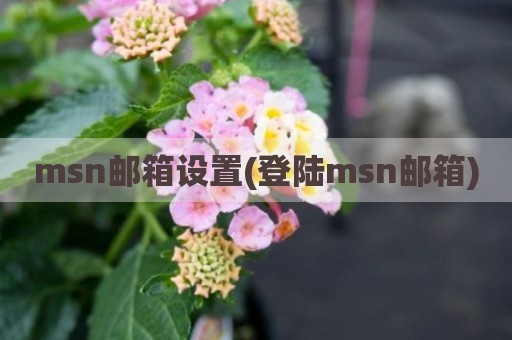 msn邮箱设置(登陆msn邮箱)